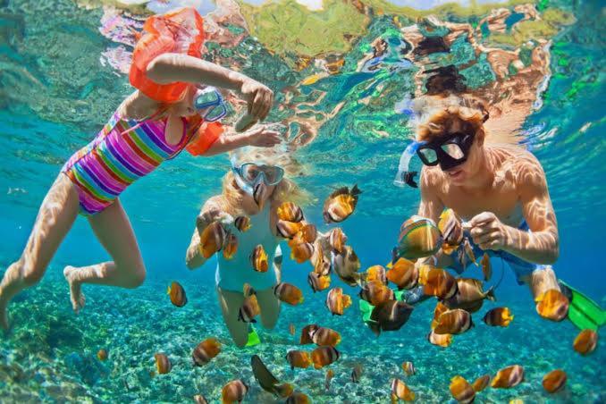 Bleu Verde, The Secret Garden - Turtle Point Beach Gili Trawangan Exterior foto